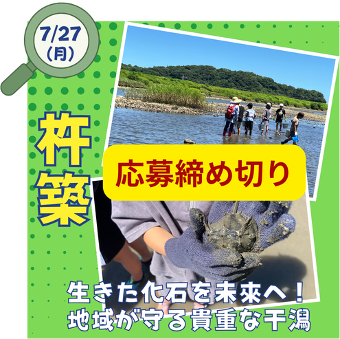 杵築